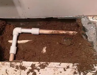 修武测漏水哪家好