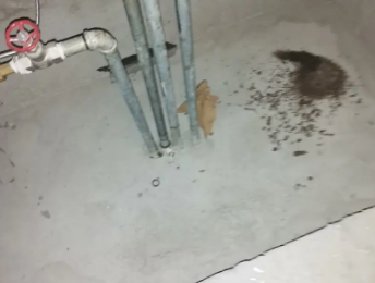 修武卫生间测漏水价格明细