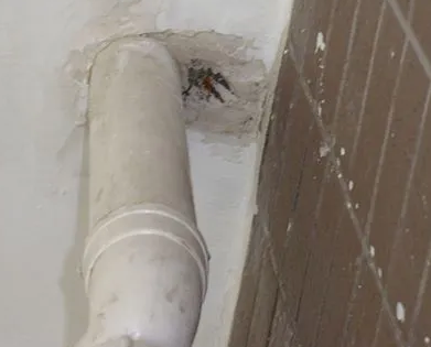 修武漏水检测哪家好